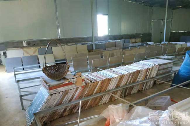 廣西竹鼠養殖基地