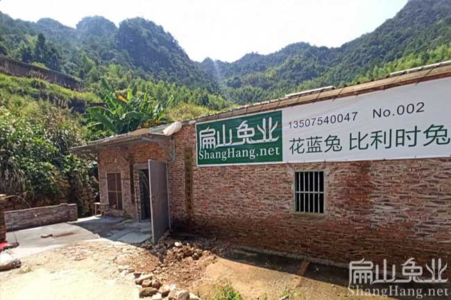 浙江種兔養殖場(chǎng)