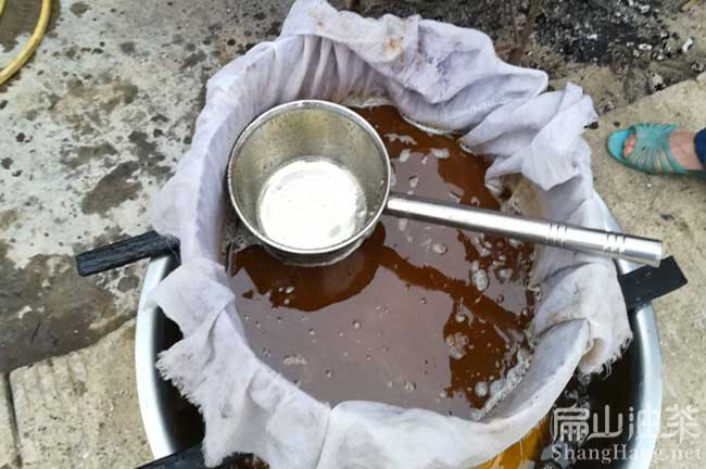 珠海山茶油批發(fā) 珠海油茶種植基地 廣東珠海油茶基地-扁山油茶