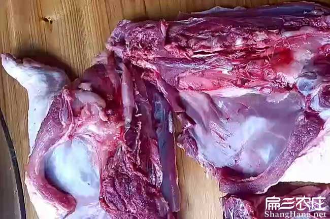 龍巖肉兔肉批發(fā)