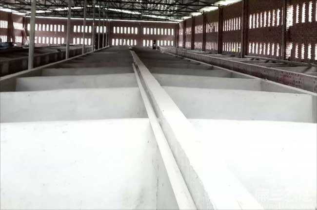 福建肉兔養殖基地