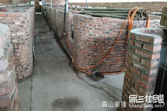 龍巖肉兔養殖基地