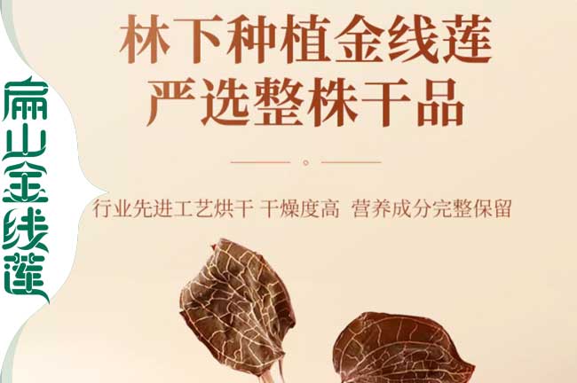 徐州金線(xiàn)蓮干品