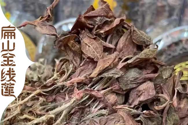 南寧金線(xiàn)蓮干貨批發(fā)