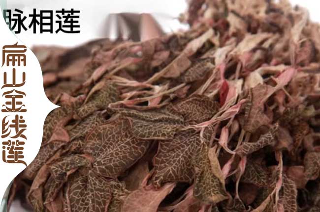 廈門(mén)金線(xiàn)蓮干貨