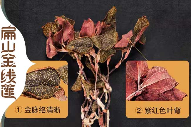 安順金線(xiàn)蓮干貨