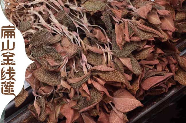 冷水灘賣(mài)金線(xiàn)蓮干貨