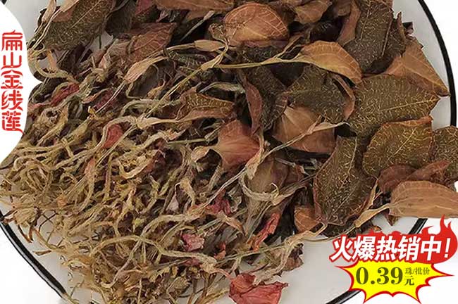 泉州金線(xiàn)蓮袋裝苗