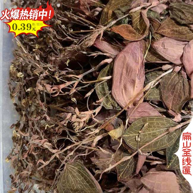 漳州金線(xiàn)蓮干貨批發(fā)