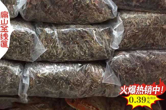 福建金線(xiàn)蓮種苗批發(fā)