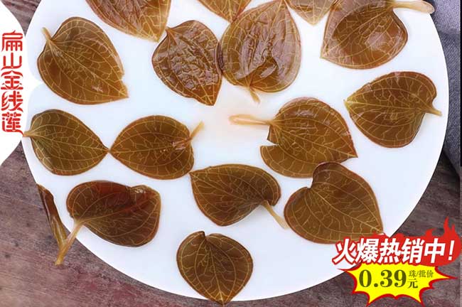 福建金線(xiàn)蓮干貨供應