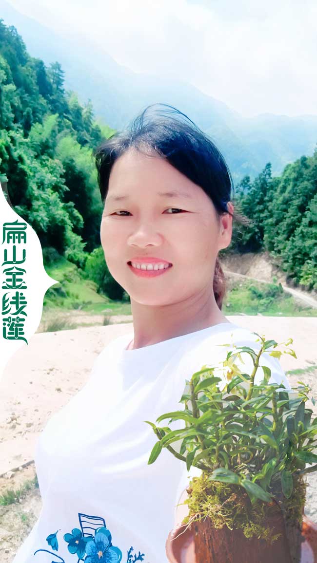 浙江金線(xiàn)蓮招工