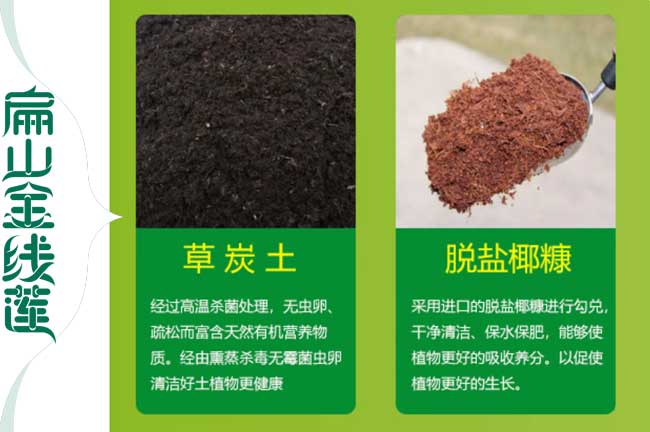 苗木種植營(yíng)養土