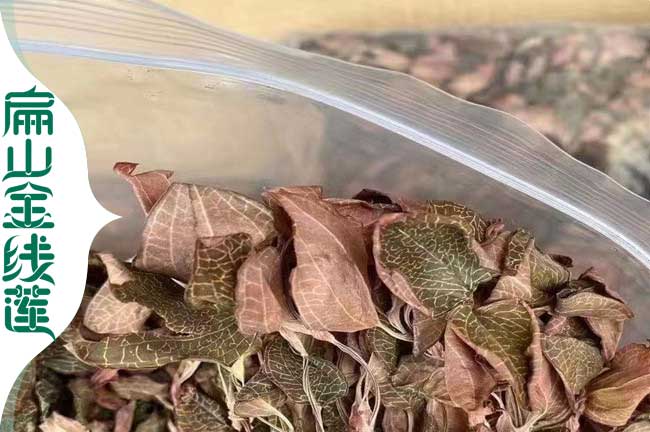 天寧金線(xiàn)蓮干品