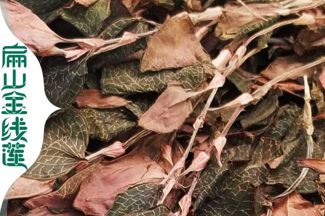 蘆溪金線(xiàn)蓮泡茶