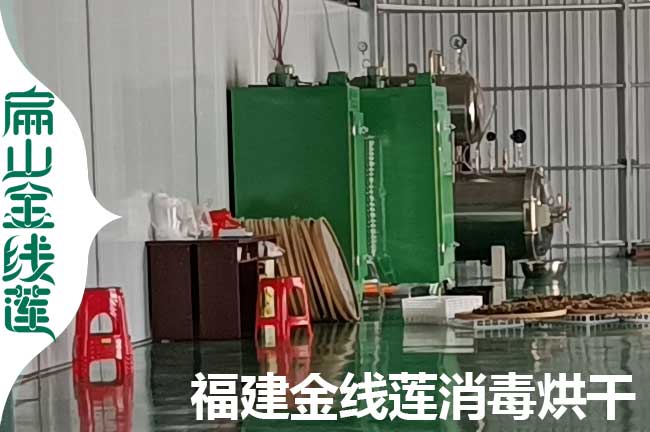 新沂福建金線(xiàn)蓮生產(chǎn)一角