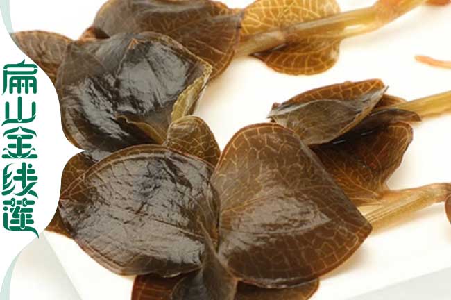 陜西金線(xiàn)蓮泡茶