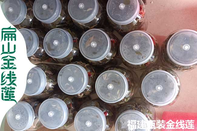 君縣金線(xiàn)蓮發(fā)貨