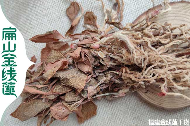 瀘州金線(xiàn)蓮開(kāi)花