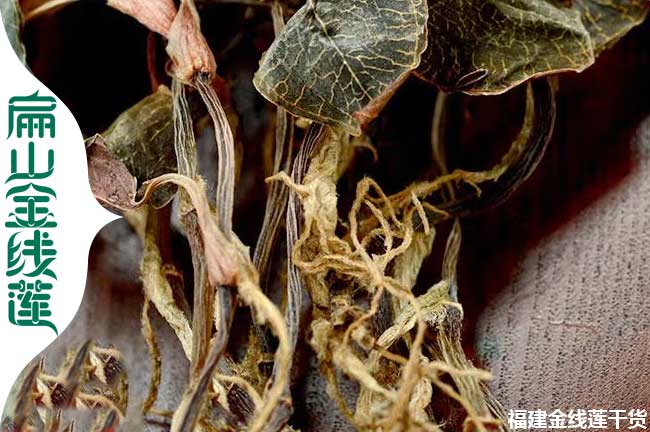 許昌金線(xiàn)蓮干貨批發(fā)