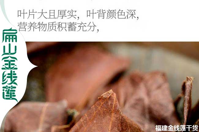 達州金線(xiàn)蓮瓶裝苗