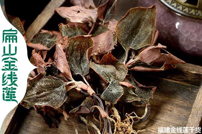 流河金線(xiàn)蓮種植基地