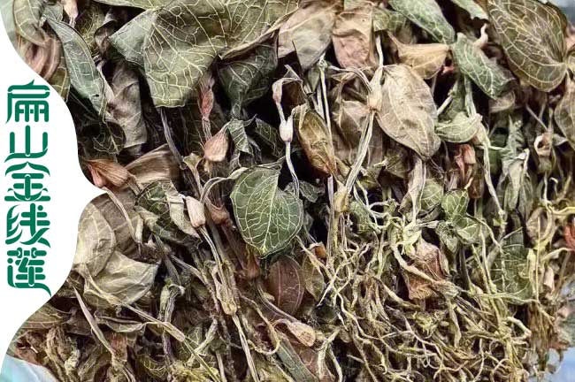 三門(mén)峽紅霞金線(xiàn)蓮干貨