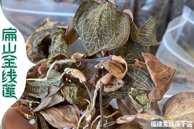 太原金線(xiàn)蓮干貨