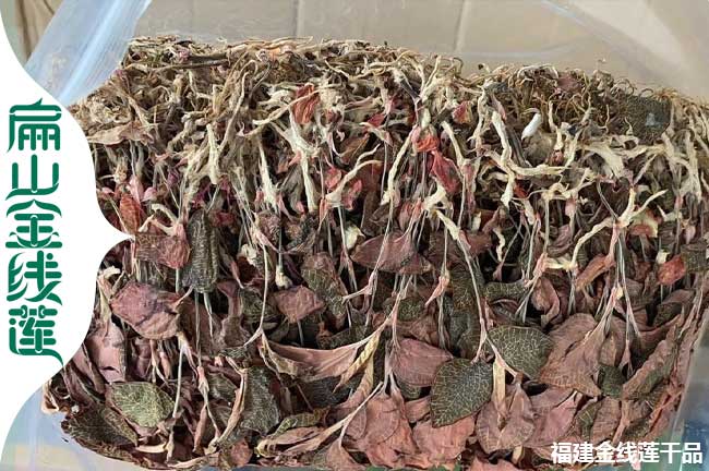 張家口金線(xiàn)蓮干貨