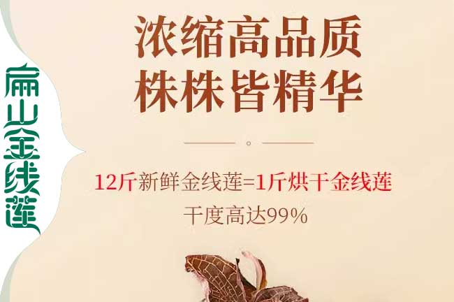 普陀金線(xiàn)蓮干貨