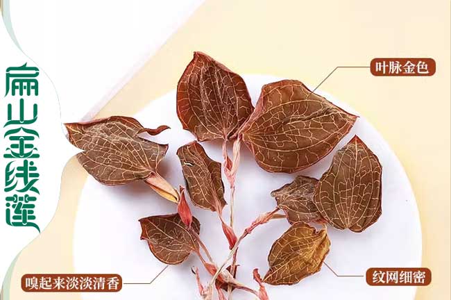 蘭州金線(xiàn)蓮干貨價(jià)格