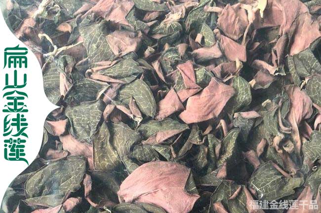 邯鄲金線(xiàn)蓮干貨批發(fā)