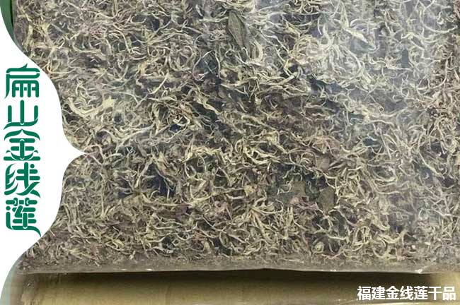 保定金線(xiàn)蓮干貨
