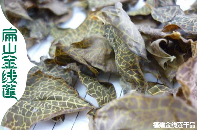蘭州金線(xiàn)蓮干貨批發(fā)