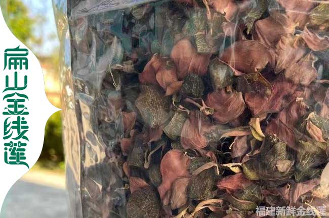 天水金線(xiàn)蓮干貨