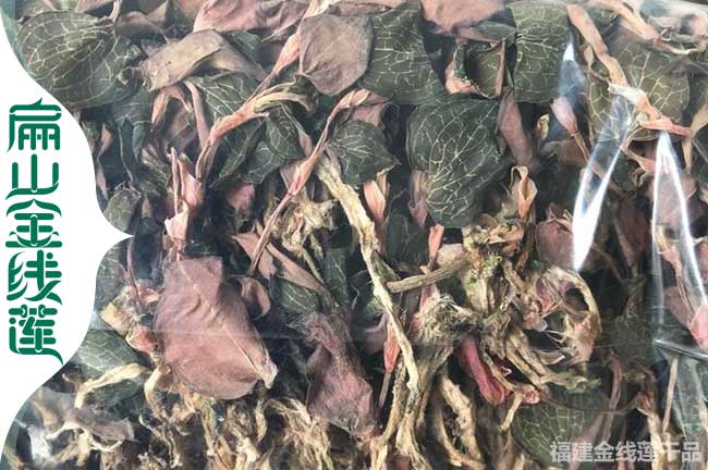 攀枝花金線(xiàn)蓮干品