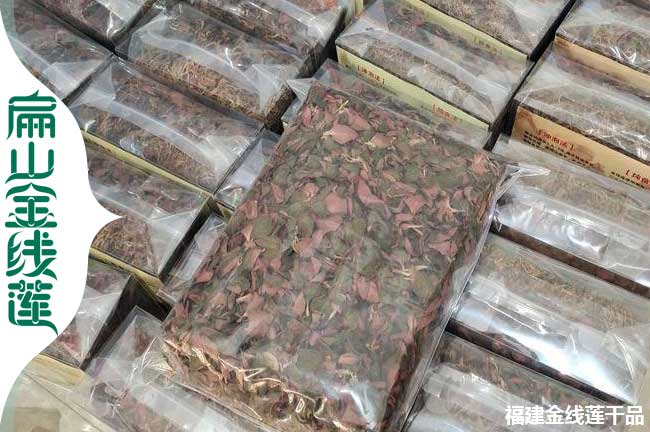 有宜賓金線(xiàn)蓮種苗培育 宜賓標準化干貨基地種植0.66元/珠