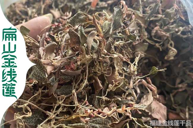 金華金線(xiàn)蓮干品批發(fā)