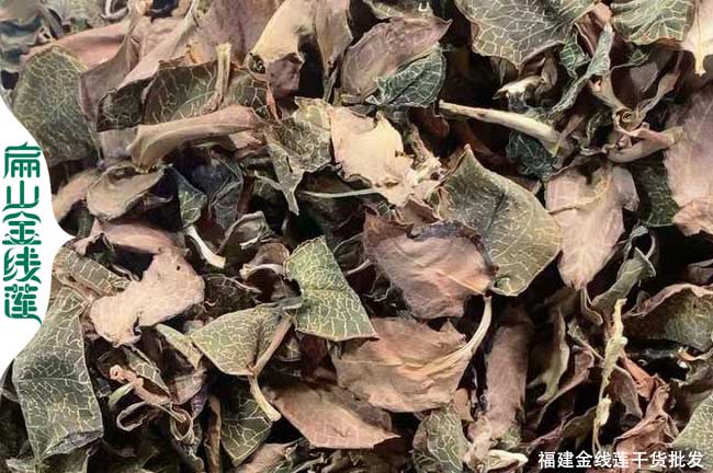 貴港金線(xiàn)蓮干貨批發(fā)