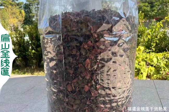 福建金線(xiàn)蓮干貨