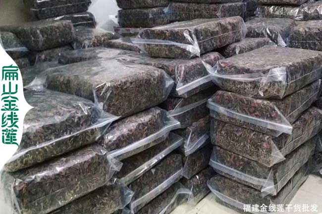 福建金線(xiàn)蓮批發(fā)