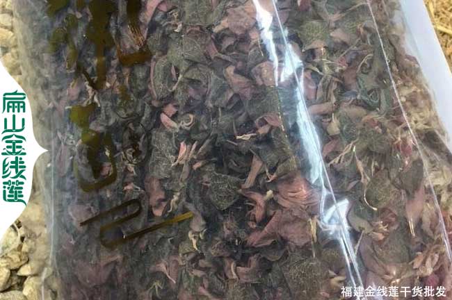 四川 金線(xiàn)蓮干貨批發(fā)
