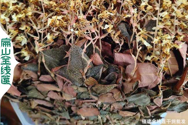 榆林金線(xiàn)蓮干貨批發(fā)