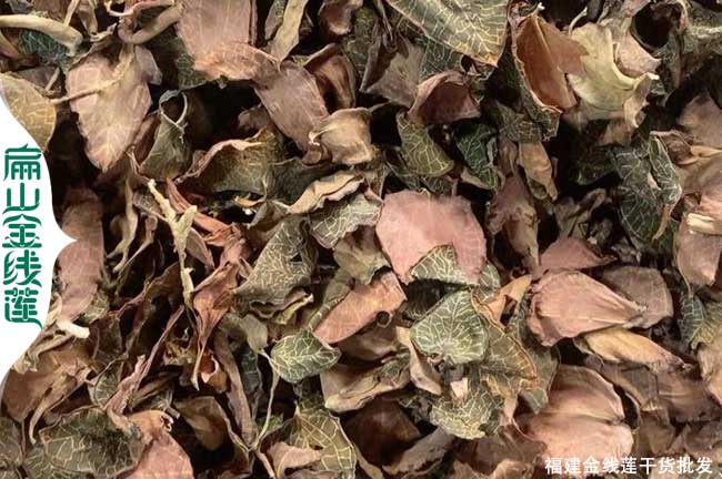河南金線(xiàn)蓮干貨批發(fā)