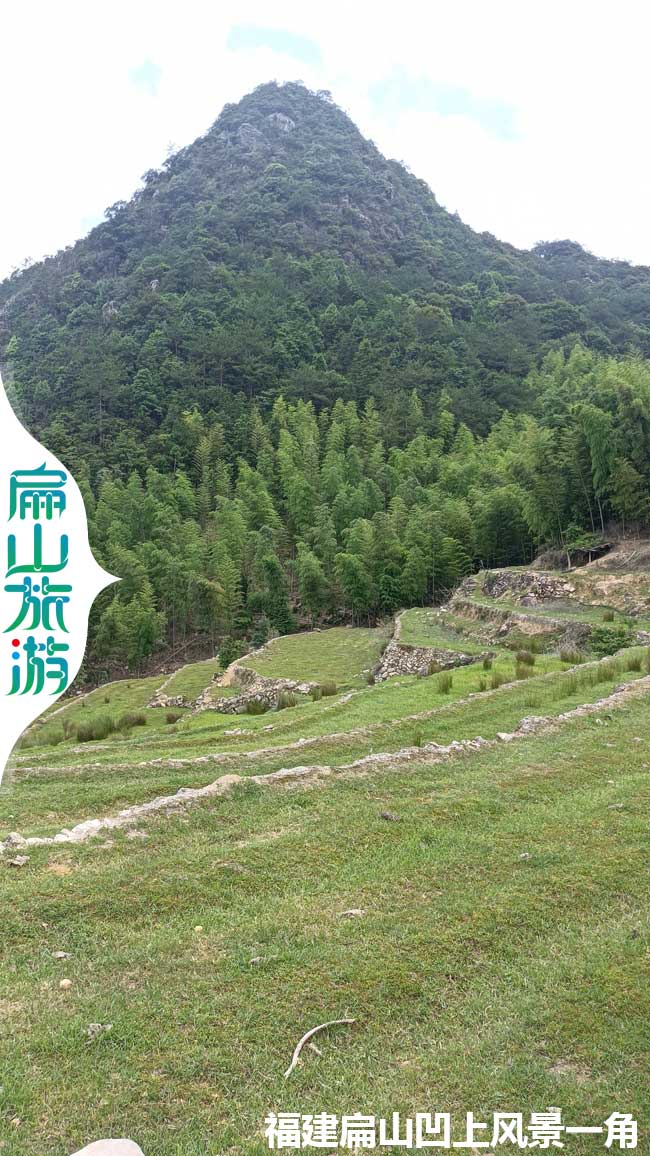 福建荒廢農田風(fēng)景