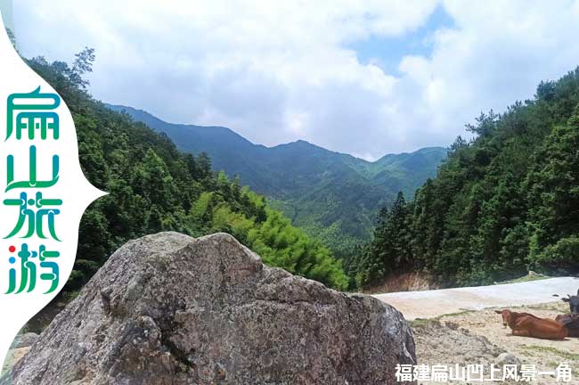 龍巖鄉村旅游