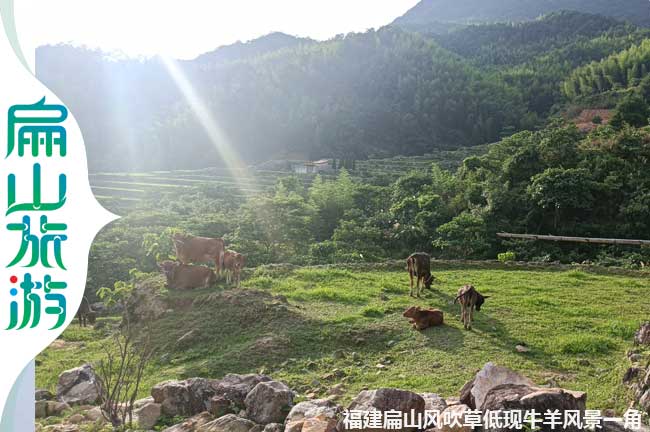 扁山風(fēng)吹草低現牛羊