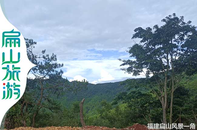 龍巖路樹(shù)風(fēng)景一角