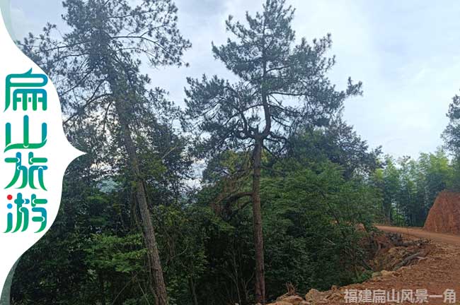 上杭新開(kāi)公路農村美景
