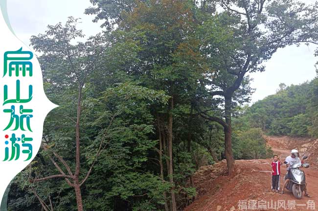 上杭扁山存新開(kāi)公路道路旁風(fēng)景